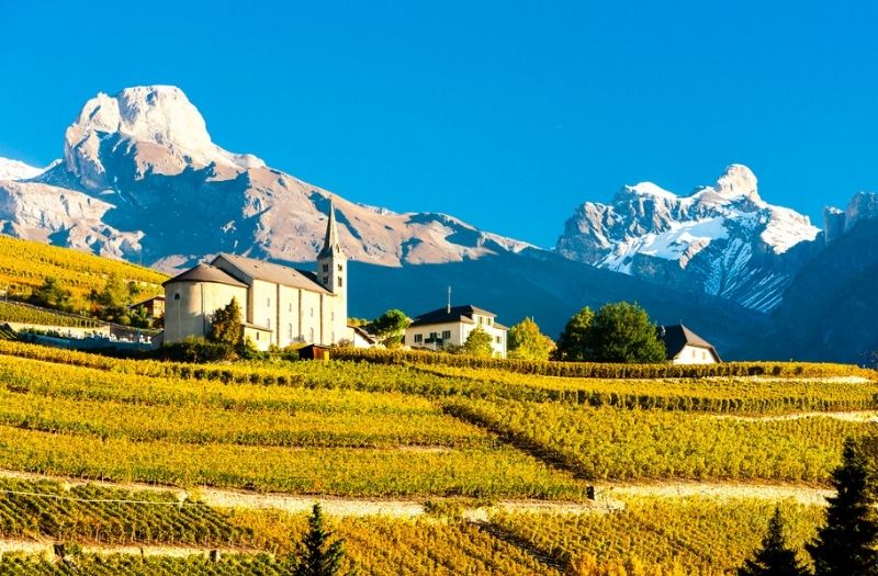 Vineyards near Sion in canton Valais